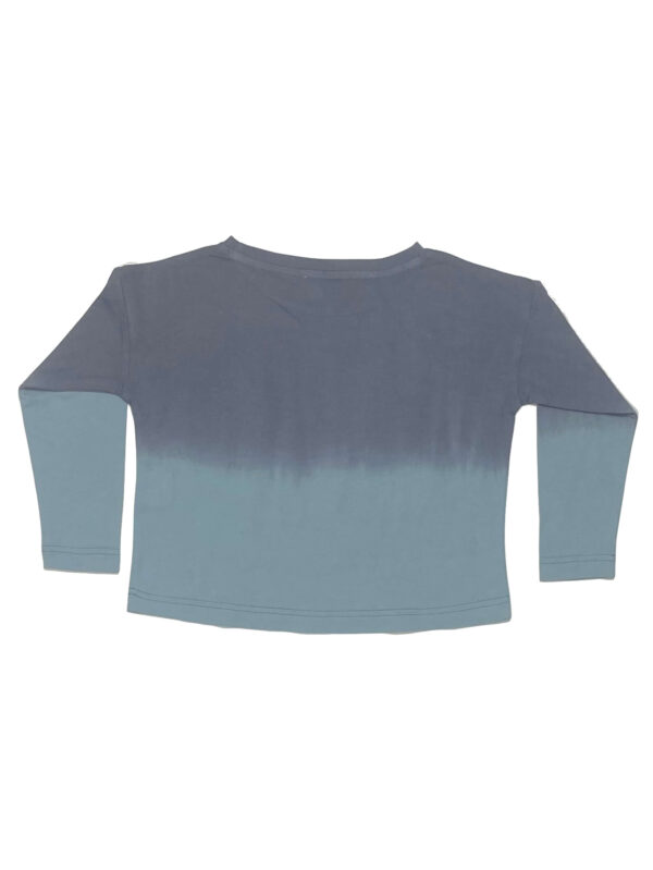 Jesper Ombre T-shirt - Organic Cotton